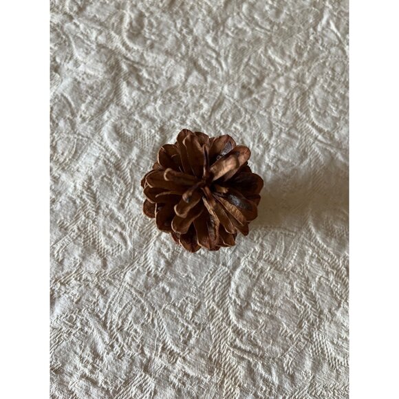Pinecone & Birch Place Card Holders - Set Of 10 Natural Rustic Table Decor - Picture 3 of 11